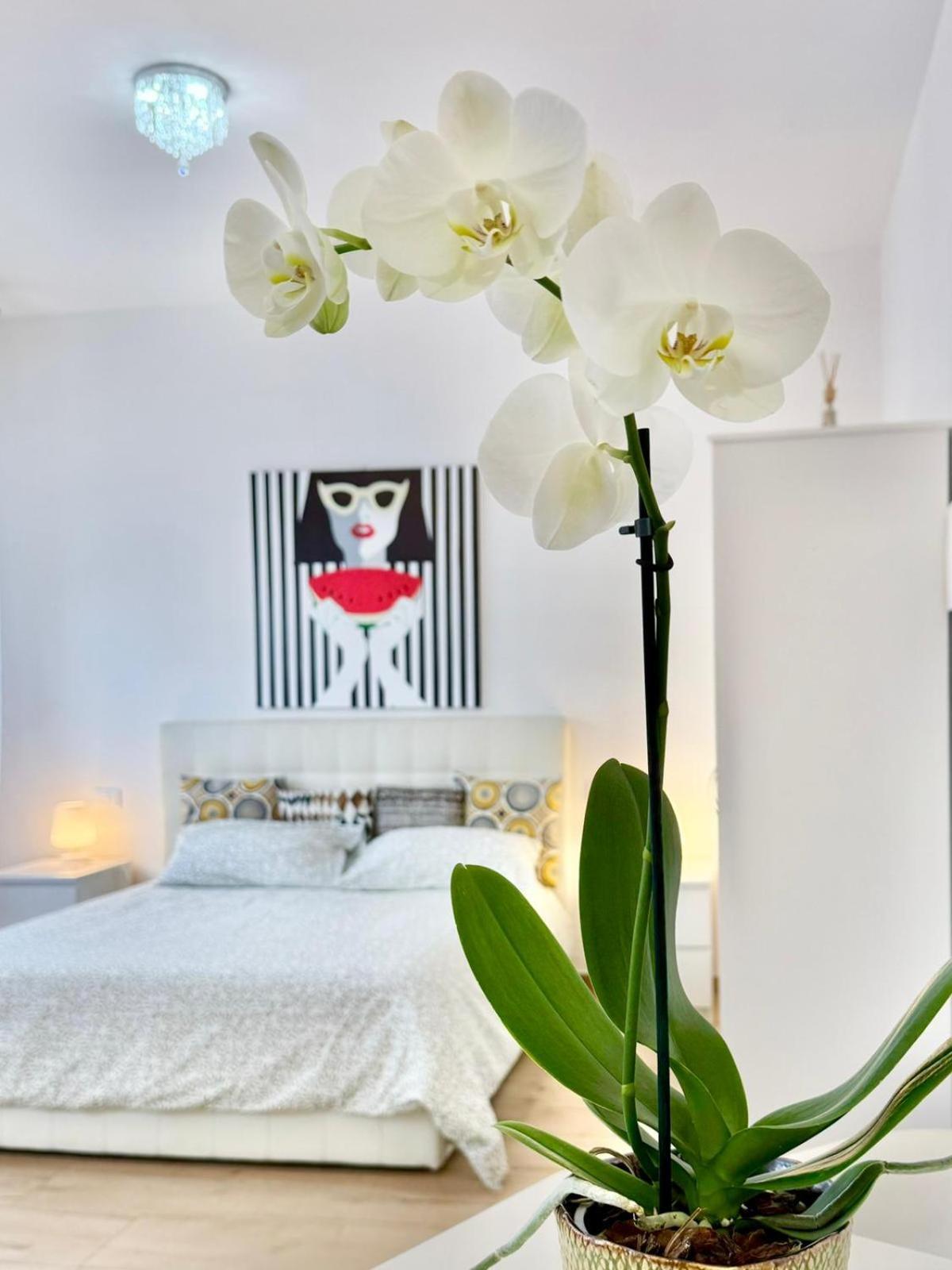 Travel Fiera Apartment โบโลญญา ภายนอก รูปภาพ